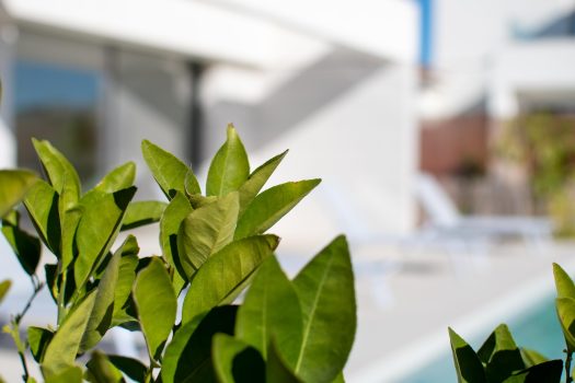 Exclusieve eerstelijns golfvilla’s in Orihuela