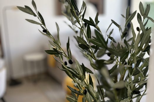 Appartementen in San Fulgencio