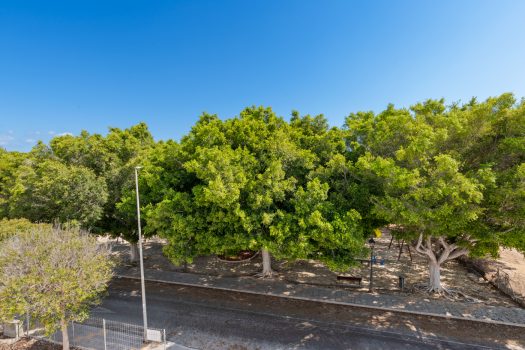 Vrijstaande villa’s in Mil Palmeras op 800 meter van het strand